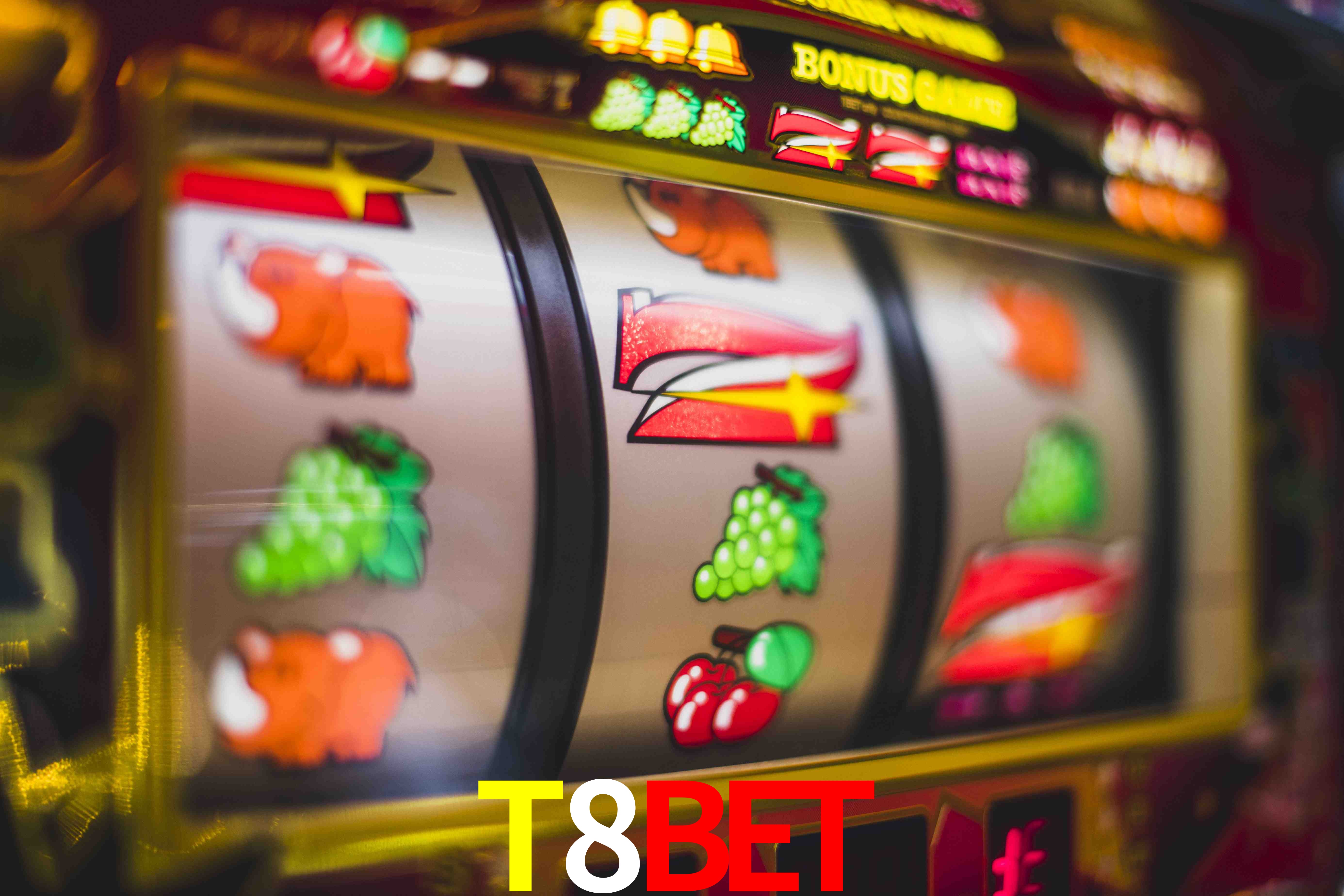 Basketball Betting T8BET